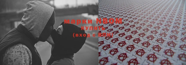 стафф Алексин